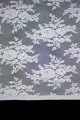 PP0388_1.jpg