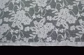 PP0028_2.jpg
